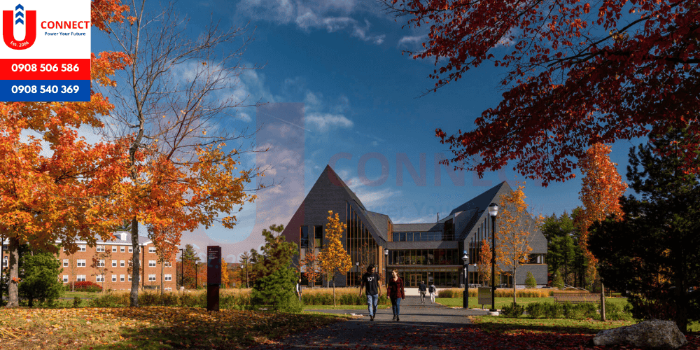 Đại học Southern New Hampshire, bang New Hampshire, Mỹ